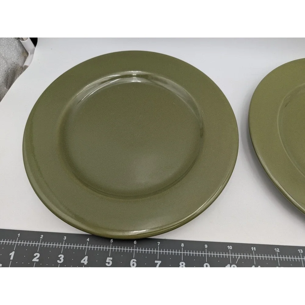 Pier 1 Ironstone Bohemian‎ Green Dinner Plate 10.25 Inch Lot of 2